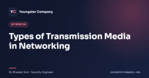 Read more about the article Types of Transmission Media in Networking: Guided and Unguided