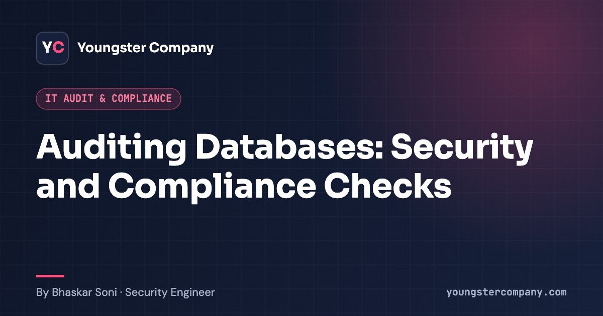 Read more about the article Auditing Databases