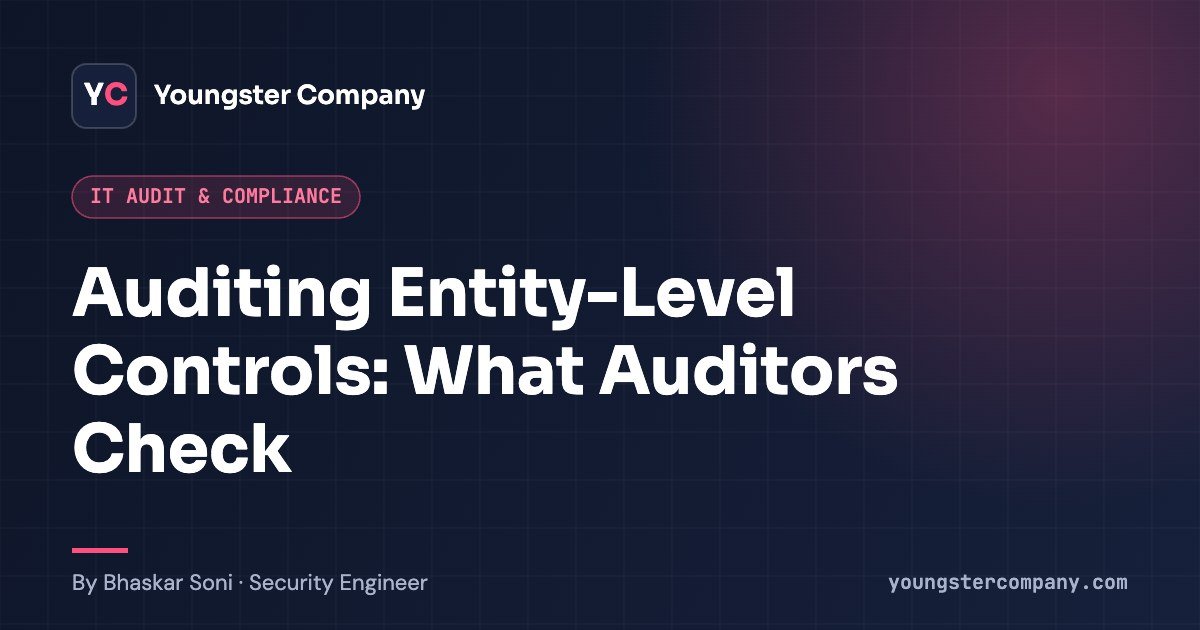 Read more about the article Auditing Entity-Level Controls