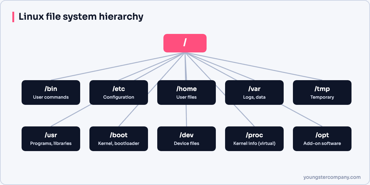 Linux file system hierarchy starting at the root directory
