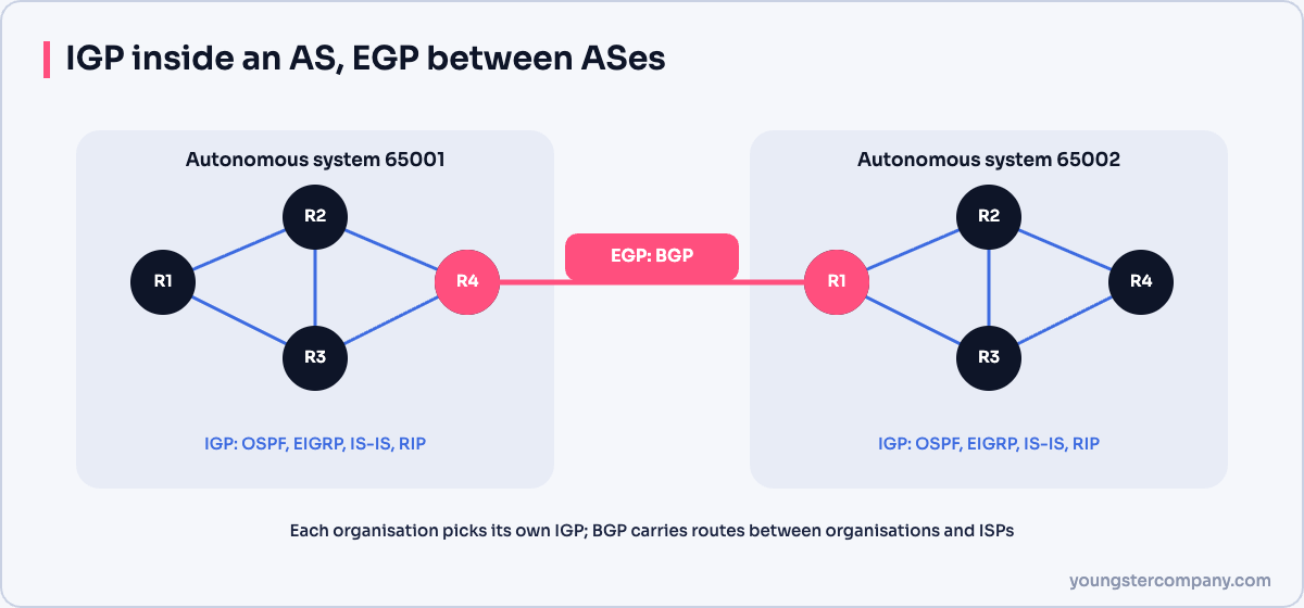 IGP routing inside an autonomous system and BGP between autonomous systems
